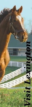 Visit Lexington